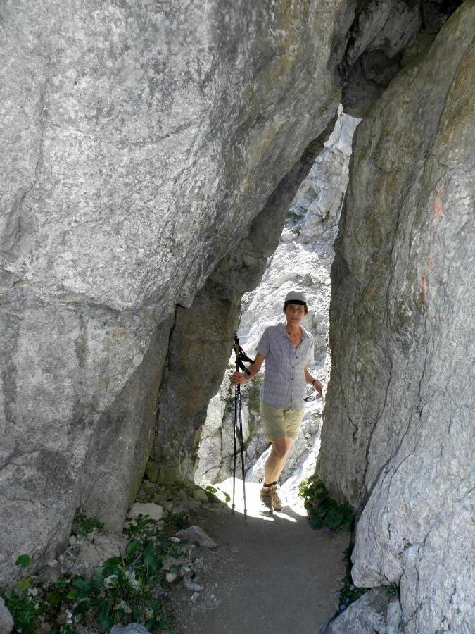 Ferienwohnungen Salvenmoser Johanna Scheffau am Wilden Kaiser Kültér fotó