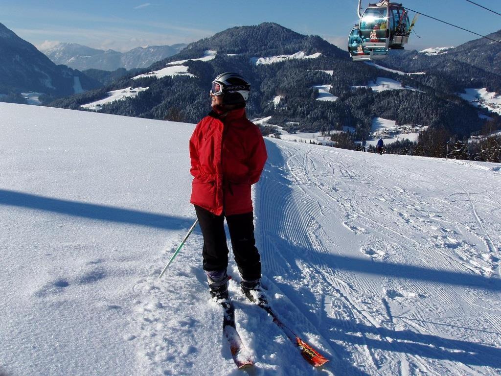 Ferienwohnungen Salvenmoser Johanna Scheffau am Wilden Kaiser Kültér fotó